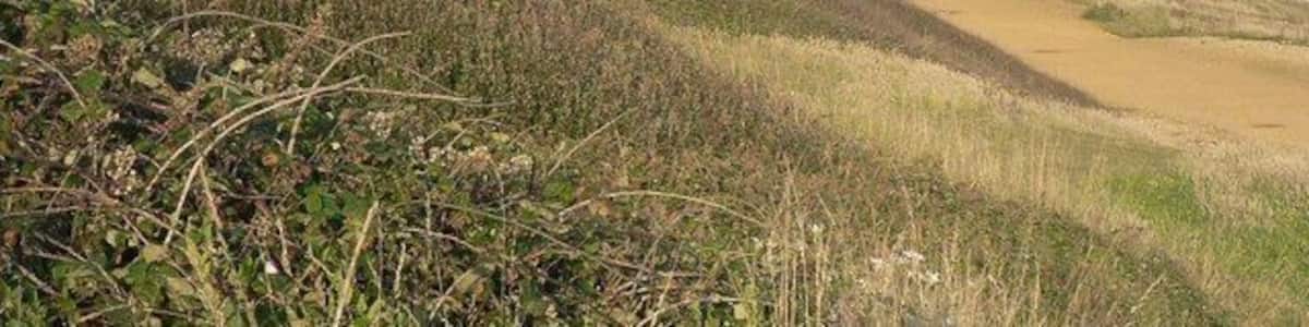 Barton on Sea: cliffs Looking east, the lighthouse at Hurst Point can be seen far right of picture.