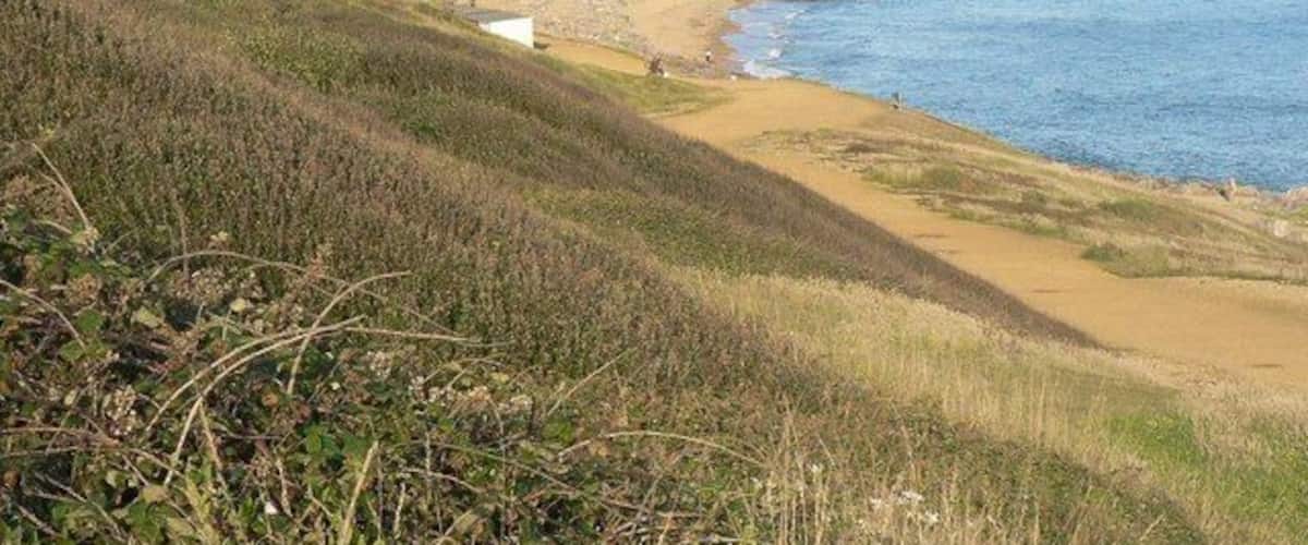 Barton on Sea: cliffs Looking east, the lighthouse at Hurst Point can be seen far right of picture.