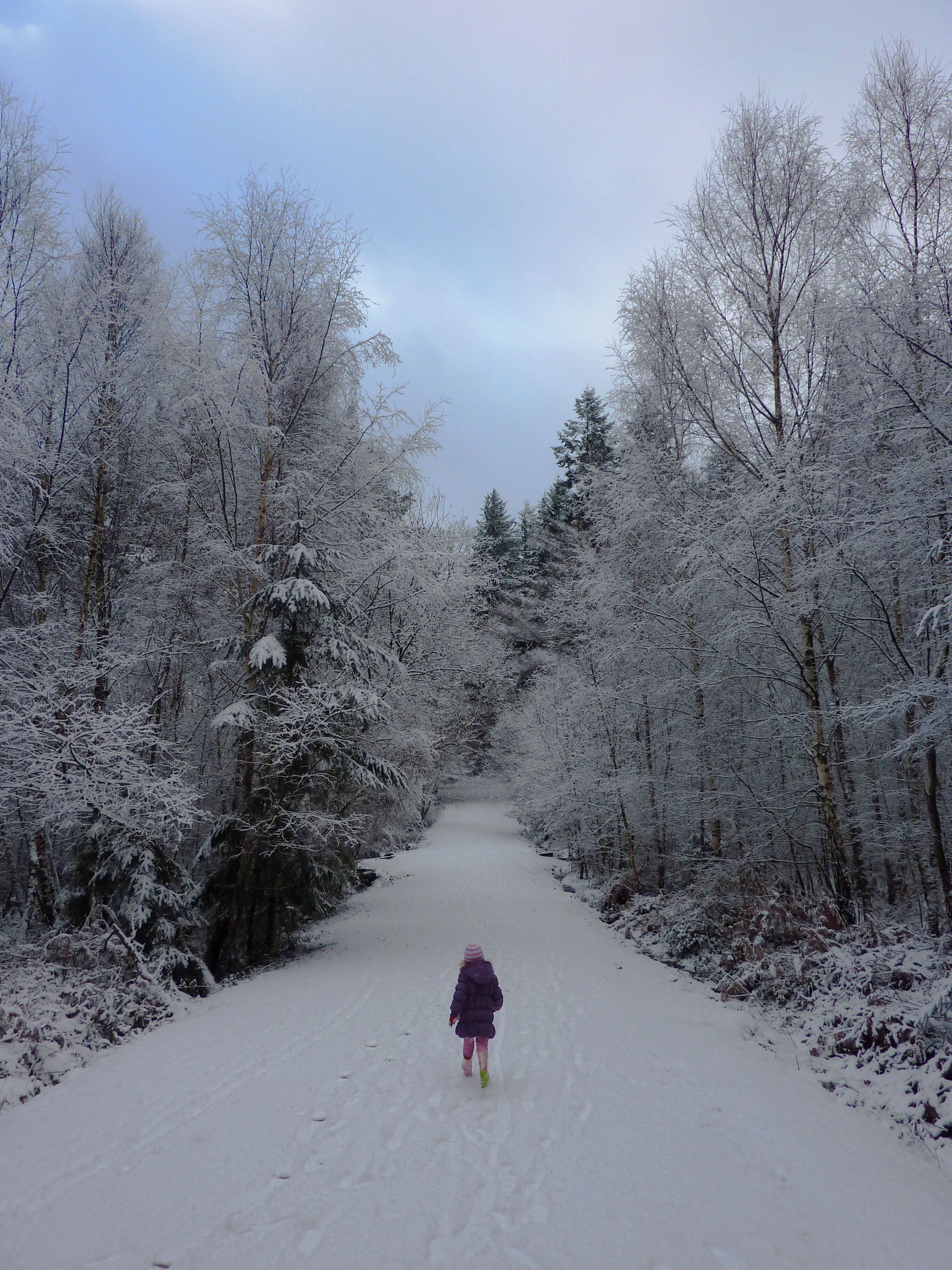 Lone Explorer in the Snow