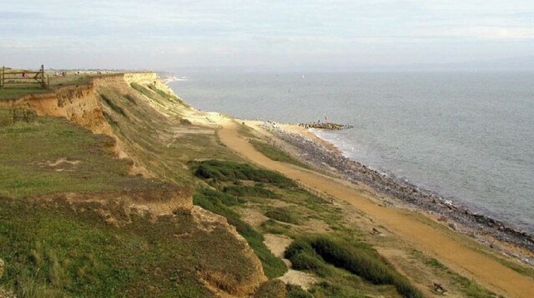Cliff view. At Barton on Sea, view is looking East