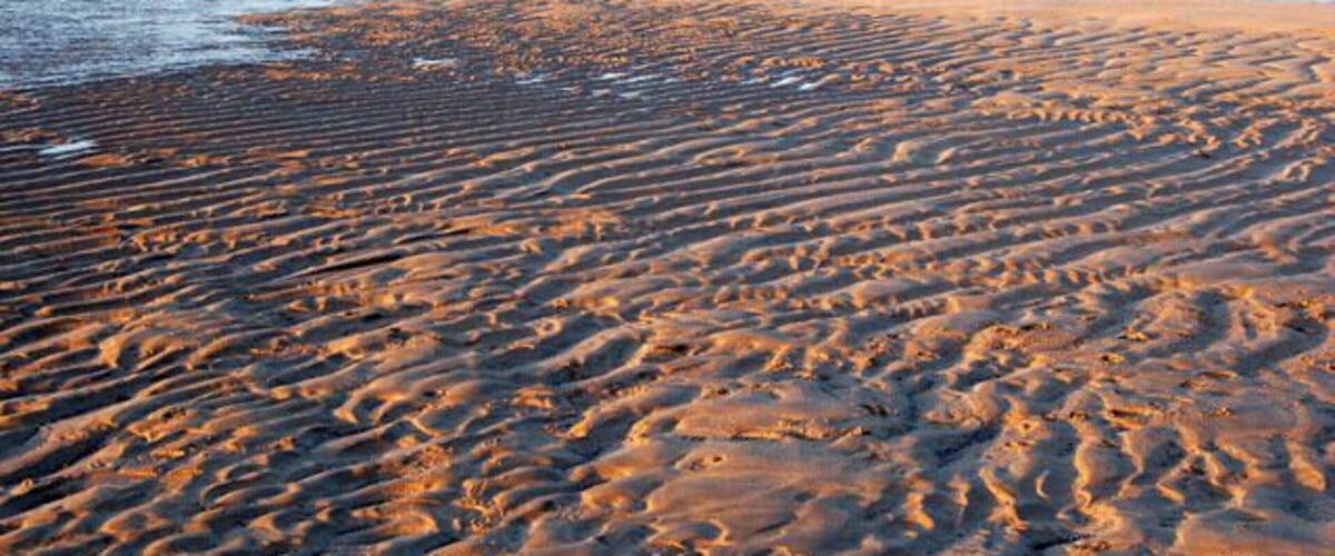 Patterns in the sand, Harlyn Bay (1) Looking north-east with the sun low in early evening.