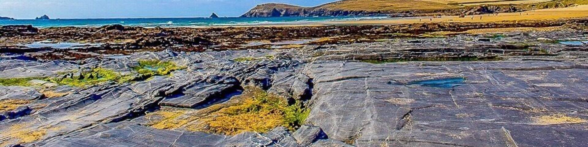 Excellent dog walking beach with toilets and plenty of bins as you walk down onto the beach.