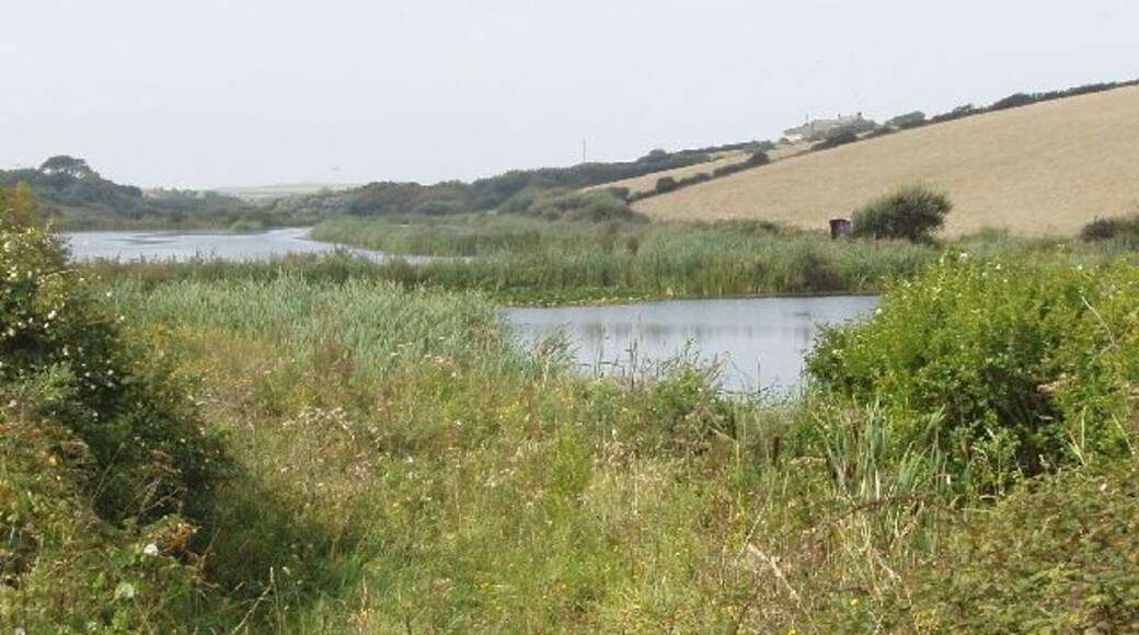 Pools by Trenearne Bridge, near St Merryn. The road from Padstow to St Merryn goes steeply down to the stream which reaches the sea at Harlyn Bay. These pools are just below the bridge.