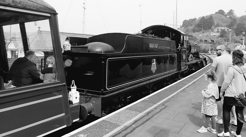 Beautiful steam train to Dartmouth followed by a boat trip over the river dart