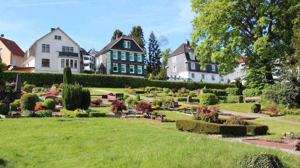 A well-maintained garden with neatly trimmed hedges, a variety of colorful flowers, and a row of houses with distinct architectural styles.