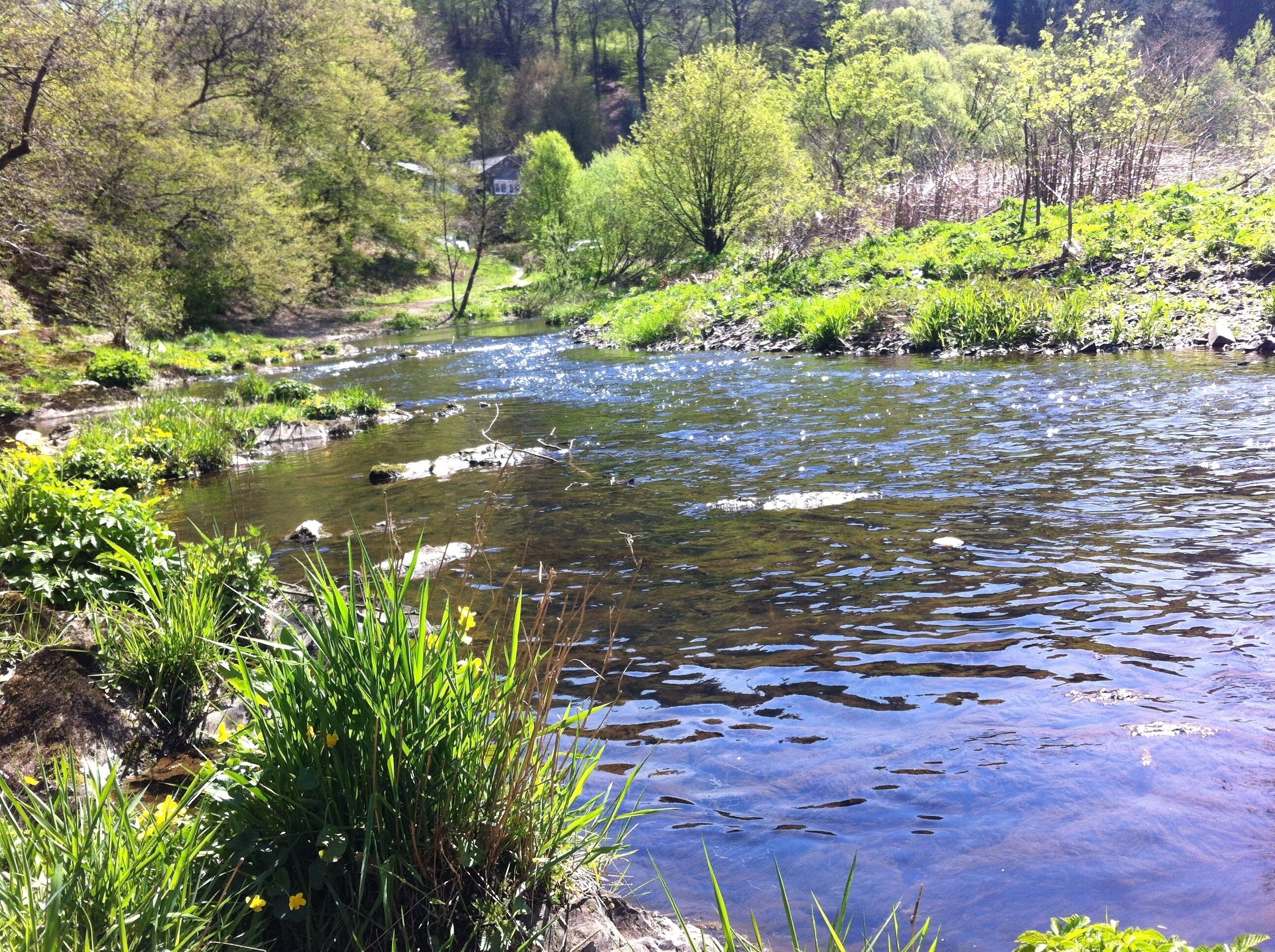 Ufer der Wupper an der Wupperschleife, Beyenburg