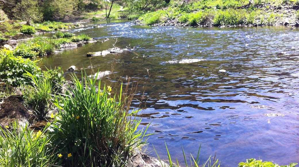 Ufer der Wupper an der Wupperschleife, Beyenburg