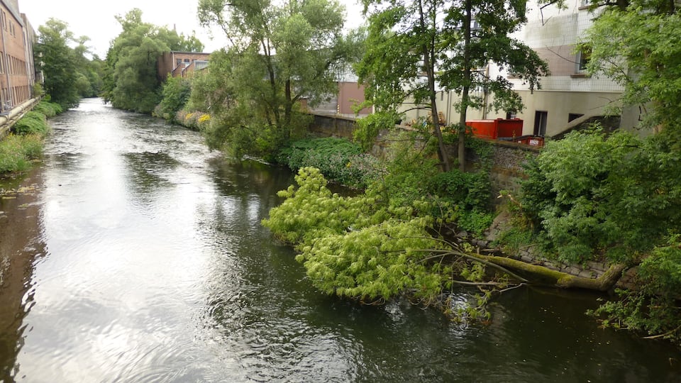 A river with dense greenery and buildings along the banks.