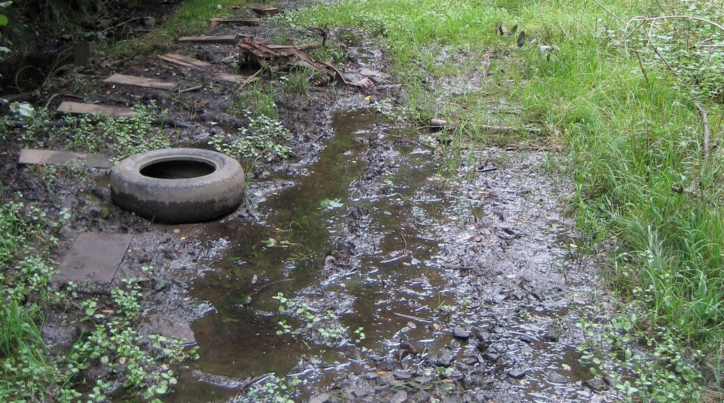Südliche Tunnelmündungen des Scheetunnels im Stadtgebiet von Wuppertal