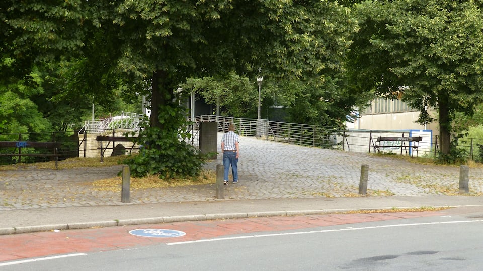 A paved pathway with a bicycle lane, trees, a fence, and a bench.