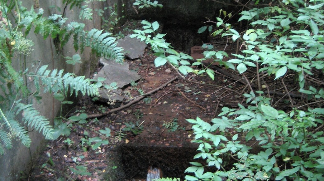 Wasserführung (Wasserkunst?) an der Bahnlinie in der Nähe des Scheetunnels
