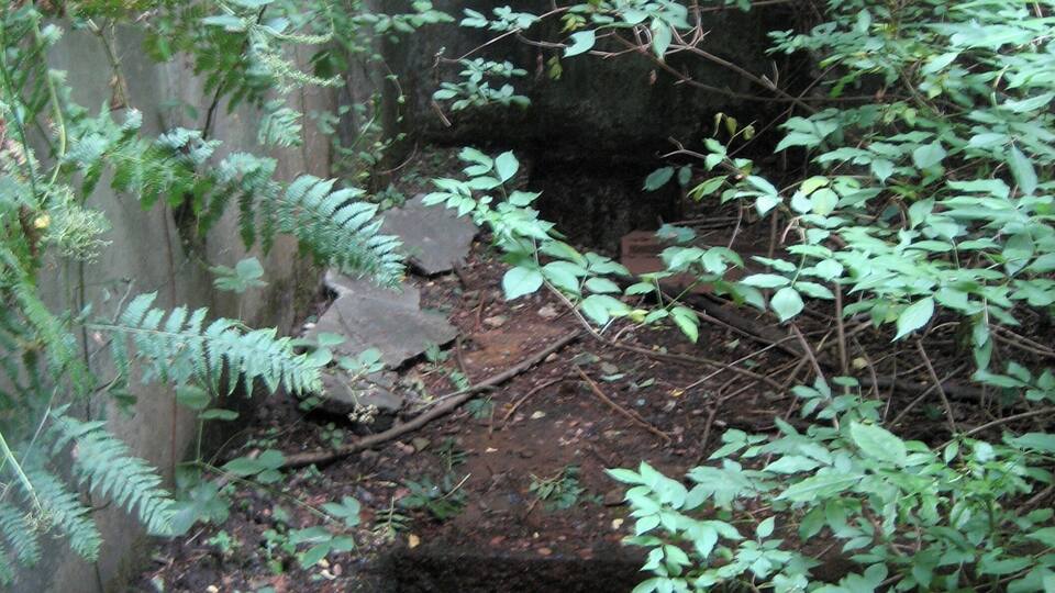 A small waterfall in a forested area with dense foliage and rocky terrain.