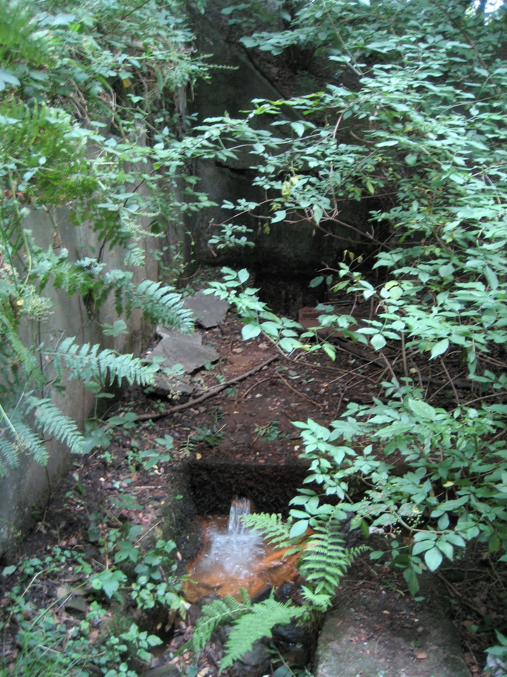 A small waterfall in a forested area with dense foliage and rocky terrain.
