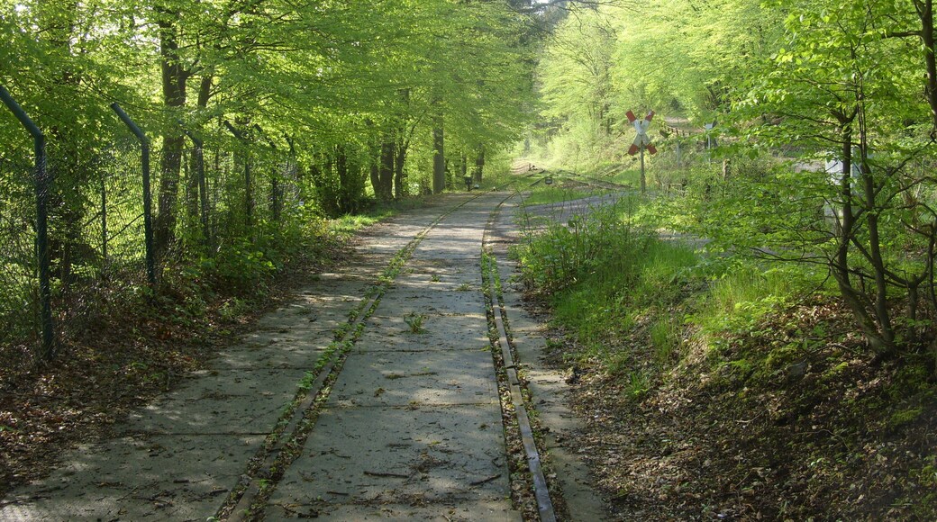 Anschlussgleis des Unternehmens Erfurt & Sohn, Wuppertalbahn in Wuppertal, Nordrhein-Westfalen