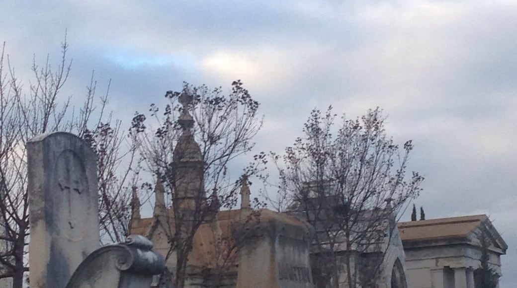 Oakland Cemetery is Atlanta's oldest cemetery, and an impressive one at that. I'd love to explore it more in depth one day.