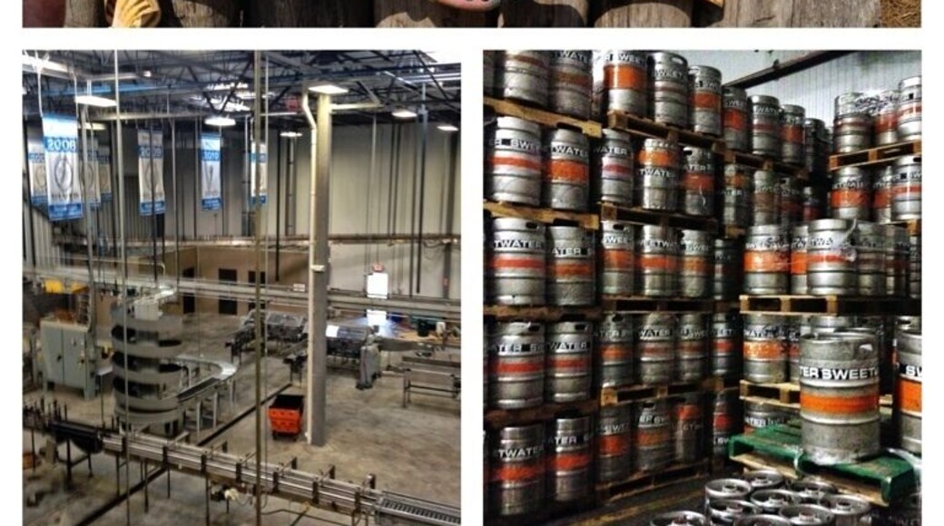 Georgia State University