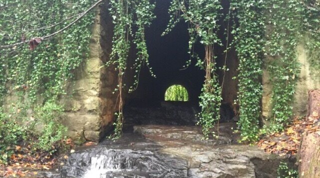 Visit Frugal Family Travelers blog to learn more about this great location, to receive the travel itinerary and to discover more great places like this:
Cascade Springs Nature Preserve
http://www.frugalfamilytravelers.blogspot.com/2016/02/3-hidden-treasures-near-atlanta.html
Follow us on:
Facebook: https://www.facebook.com/frugalfamilytravelers
Twitter: @FrugalFamTrav