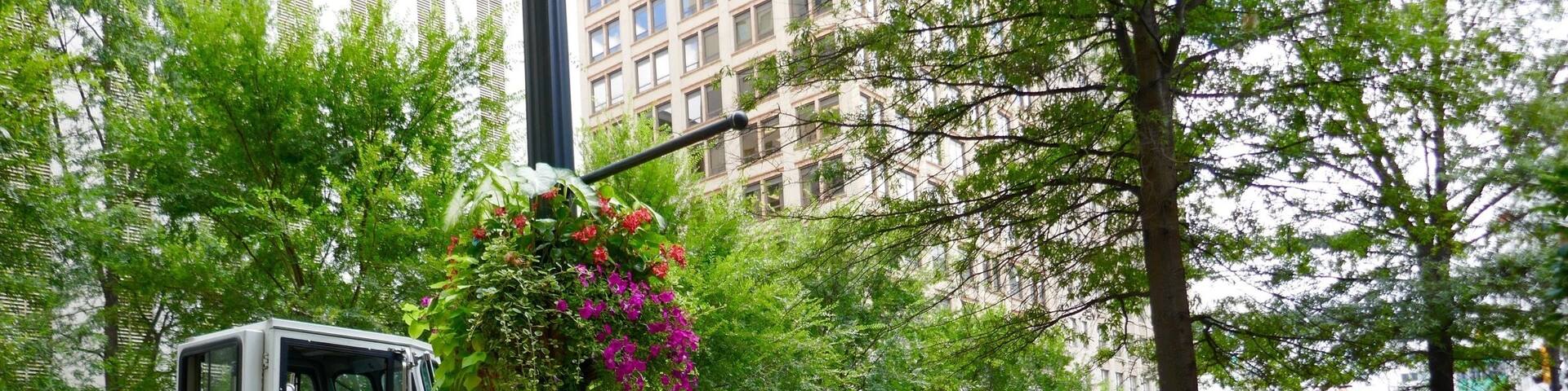 Trees, flowers and a fire truck...