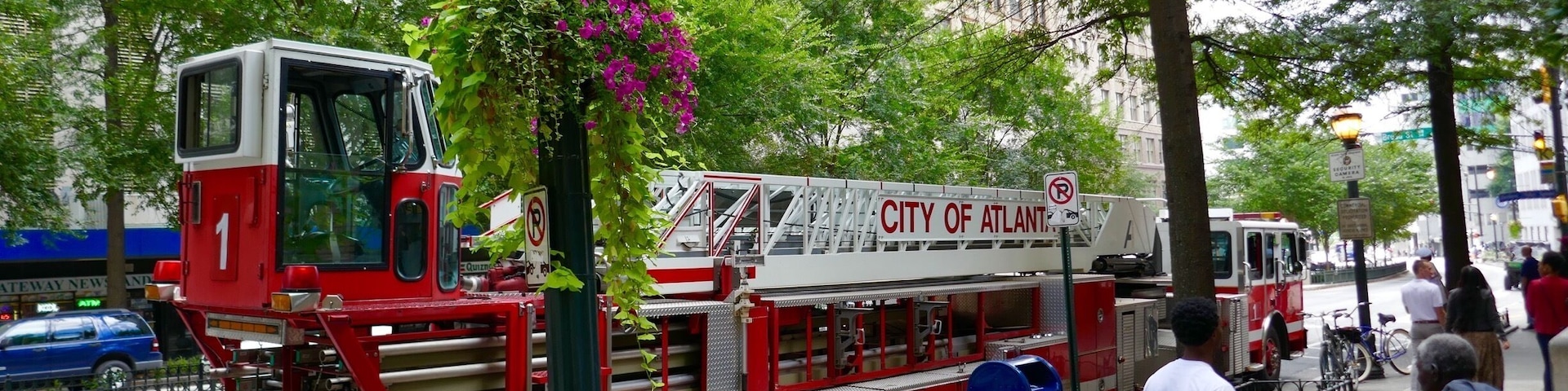 Trees, flowers and a fire truck...
