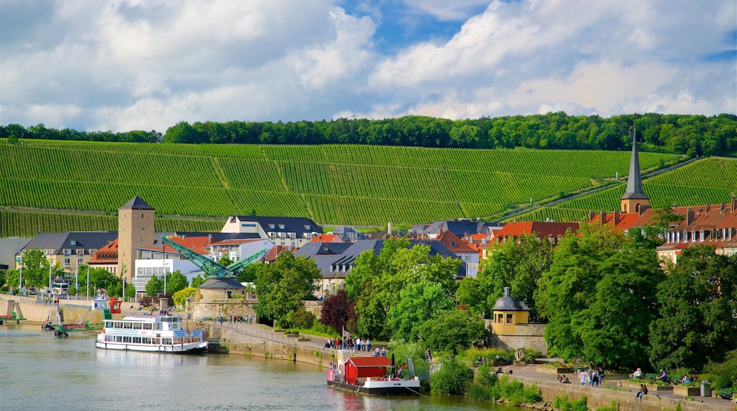 Würzburgo ofreciendo un lago o abrevadero, escenas tranquilas y una pequeña ciudad o pueblo