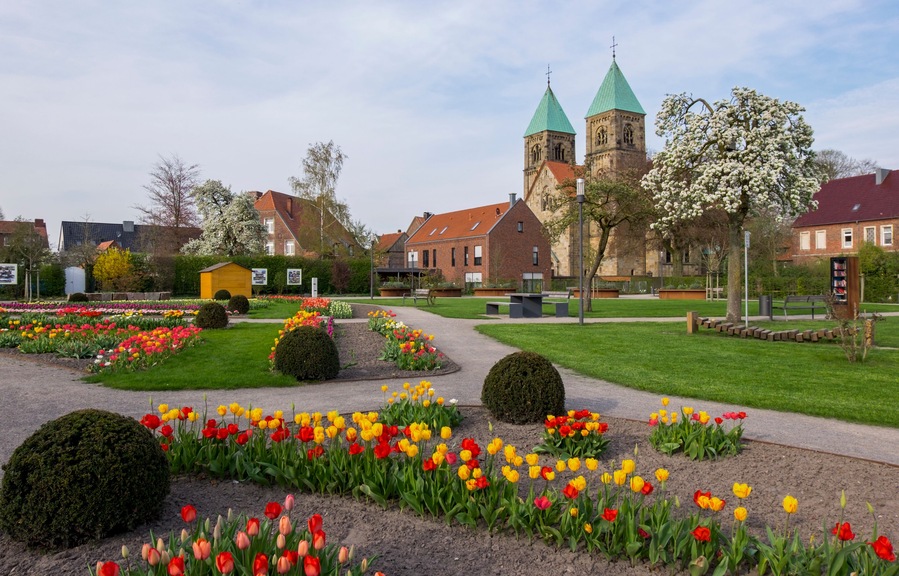 Legden - Dahliengarten