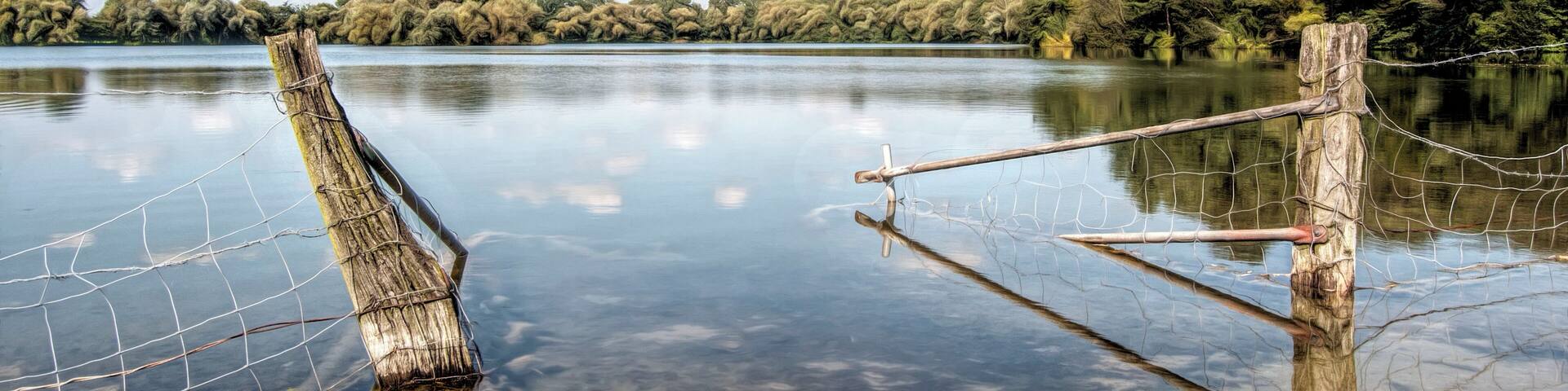 A calm lake with a wooden post and wire fence in the foreground, surrounded by dense trees and a clear blue sky.