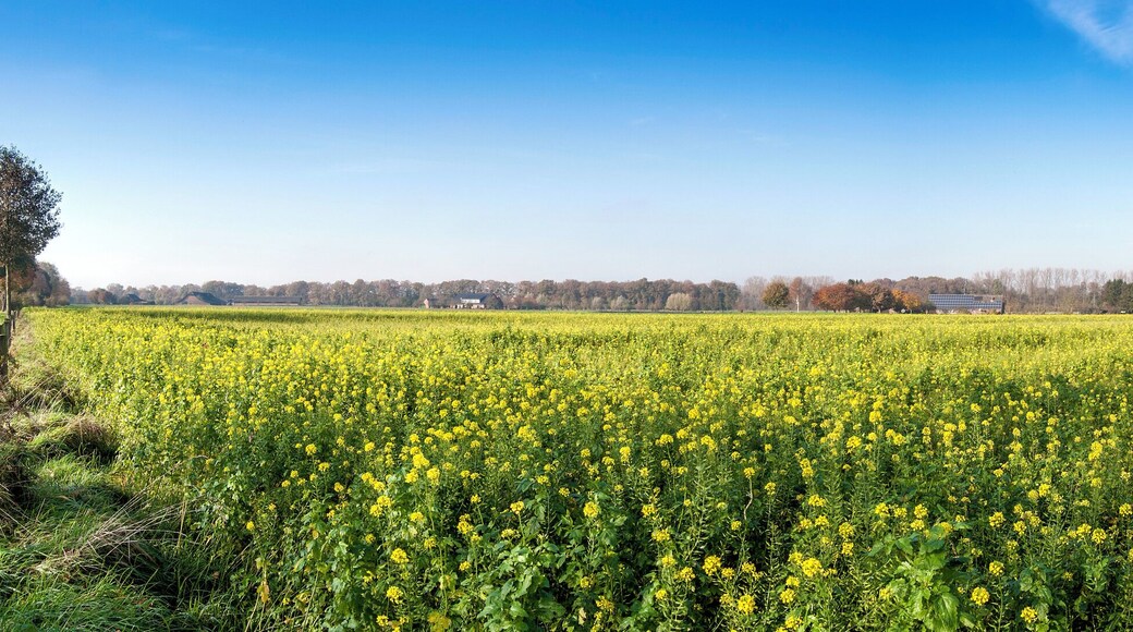 A part of Hamminkeln