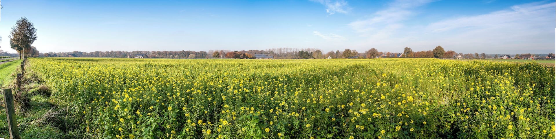 A part of Hamminkeln