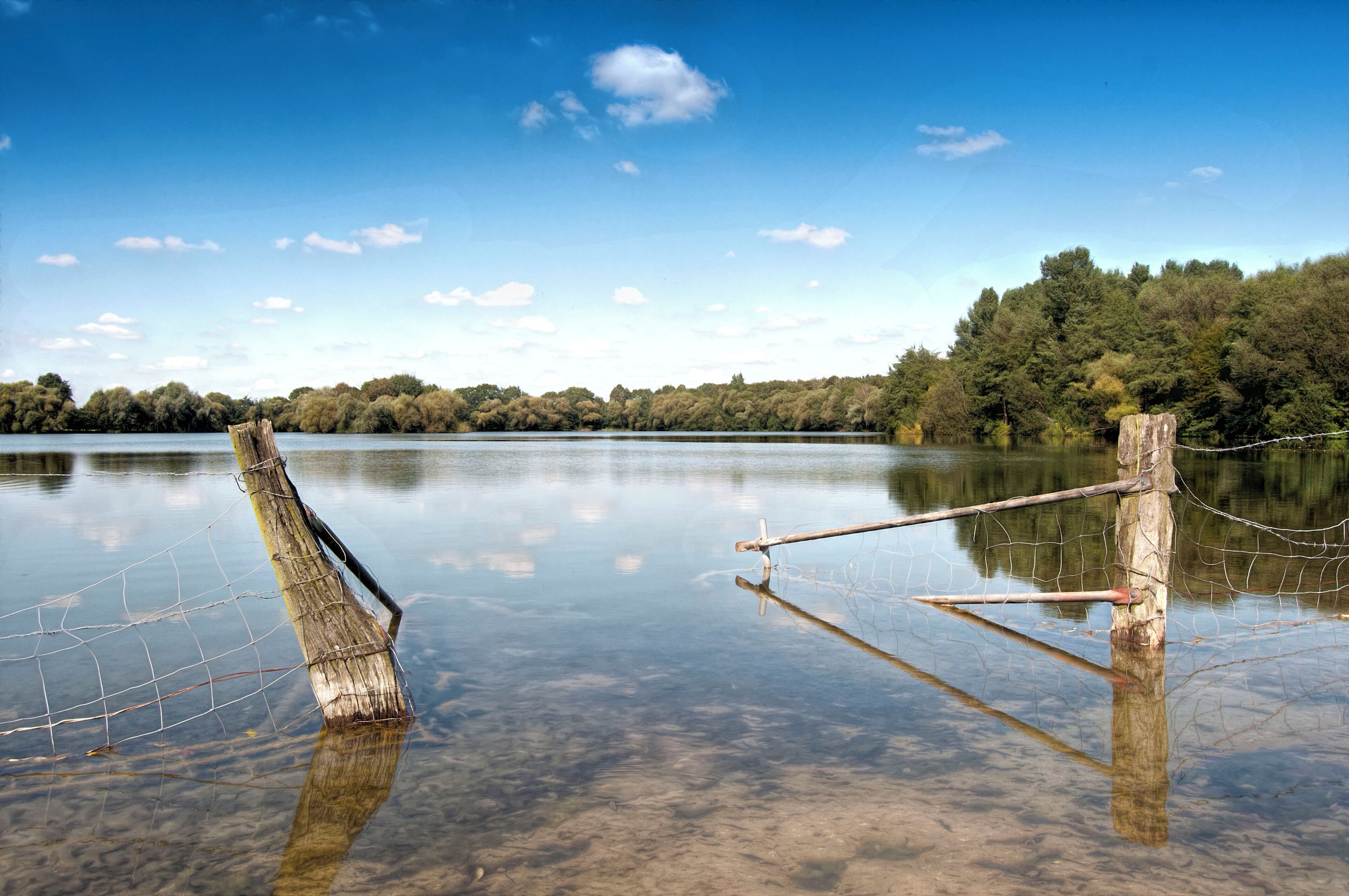 A calm lake with a wooden post and wire fence in the foreground, surrounded by dense forest under a clear blue sky.