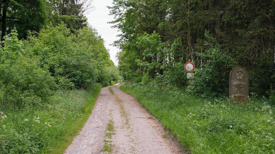 A narrow, unpaved road flanked by dense greenery and trees, with a no parking sign visible on the right.
