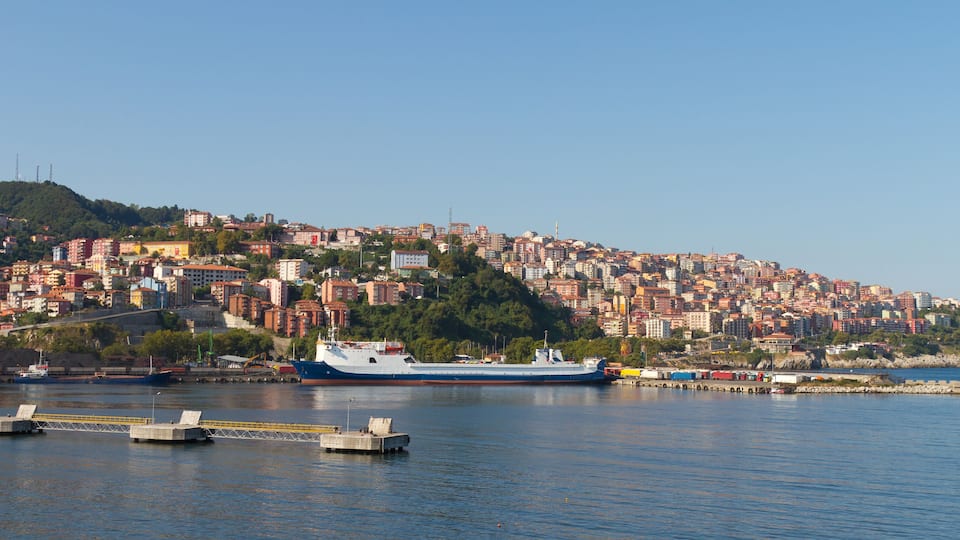 A coastal cityscape with a large cargo ship docked at a pier, surrounded by dense urban buildings and a hill with greenery.