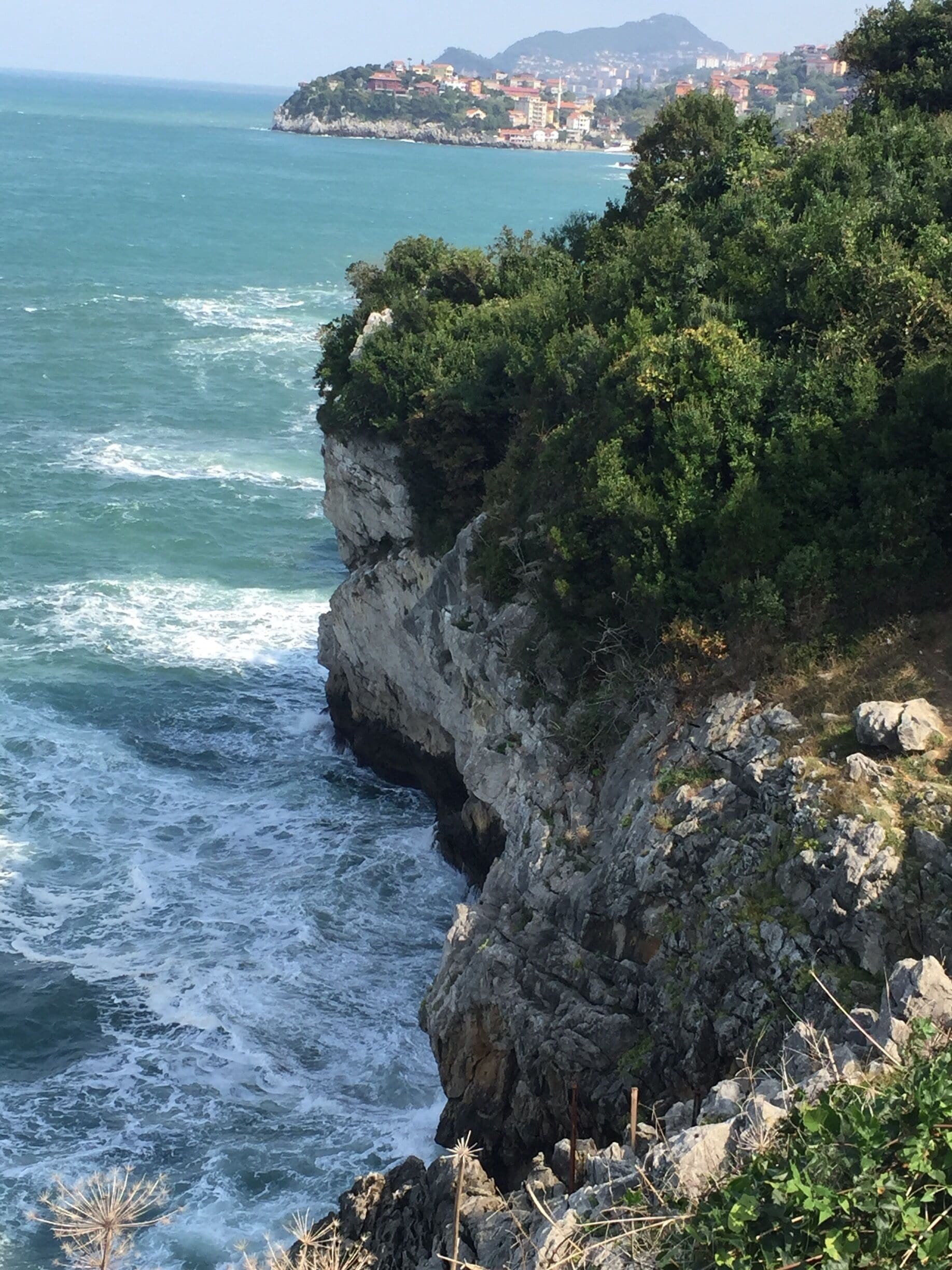 A coastal cliff with waves crashing against it, a distant town, and lush greenery.