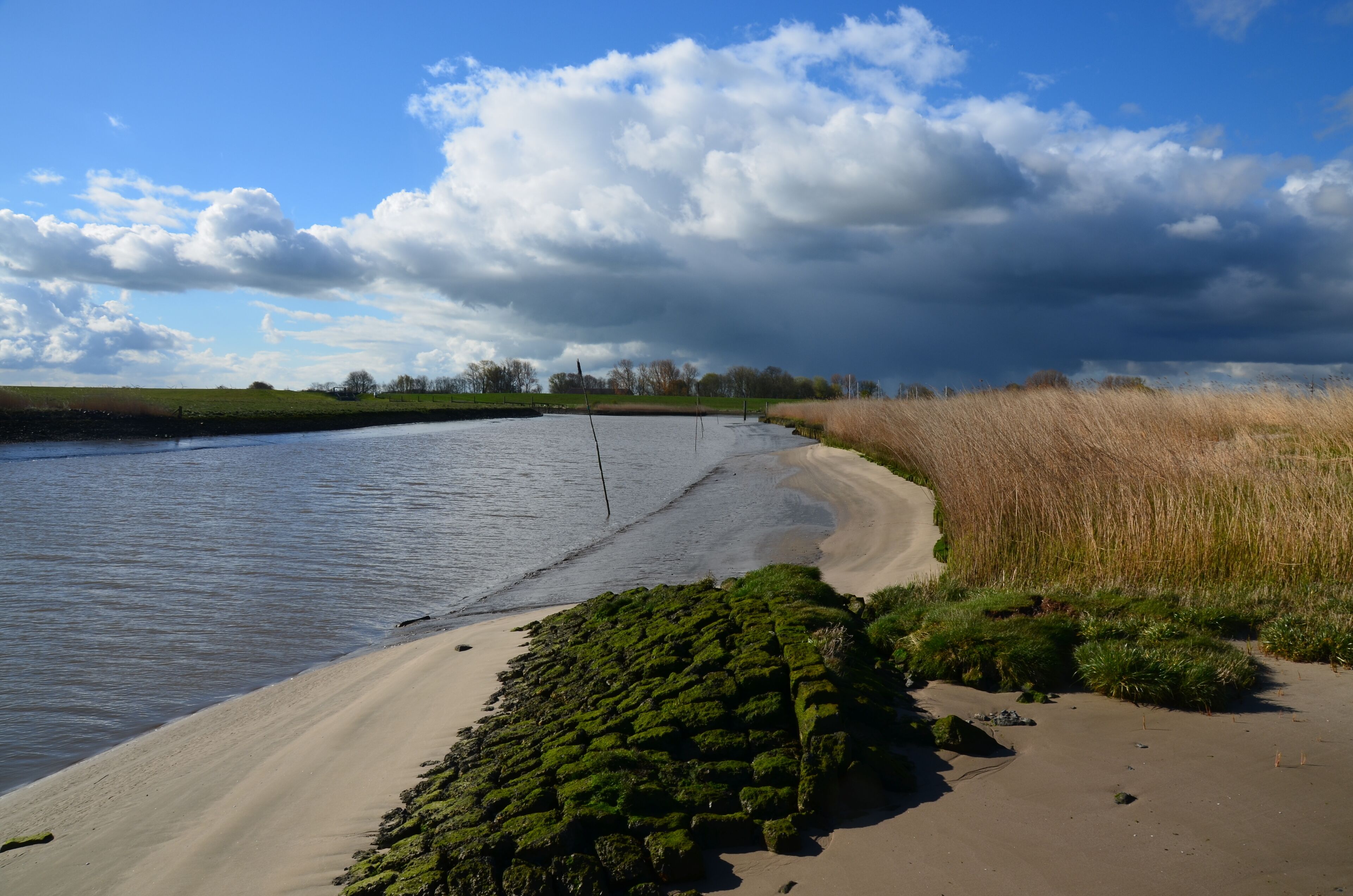 A riverbank with a sandy beach, grassy areas, and a cloudy sky.