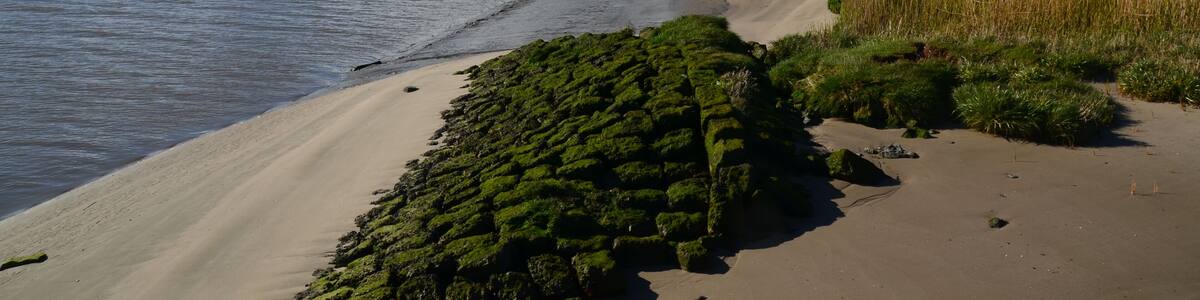 A riverbank with a sandy beach, grassy areas, and a cloudy sky.