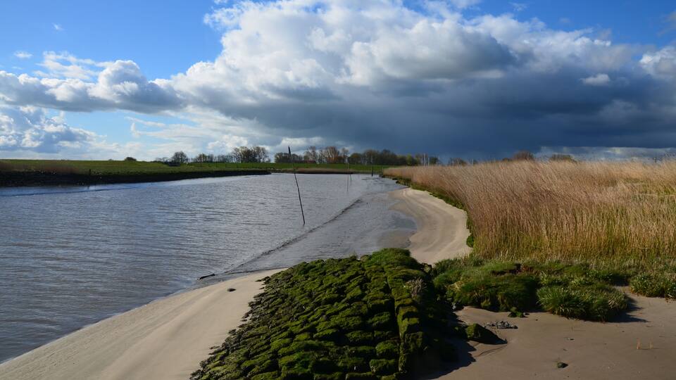 A riverbank with a sandy beach, grassy areas, and a cloudy sky.