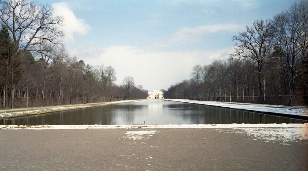 Reflecting pool in winter