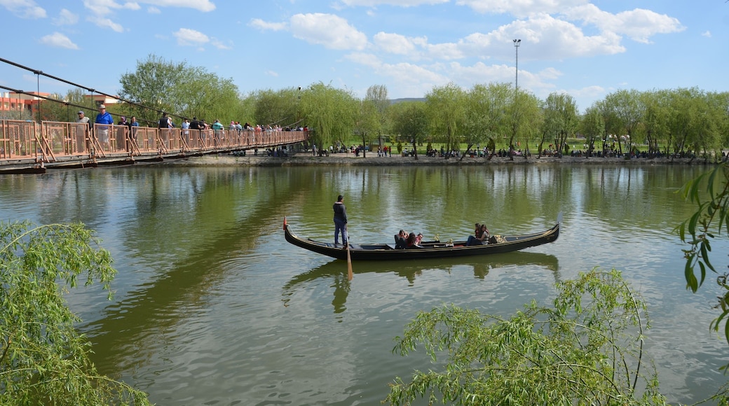 0_b4056499-1f24-471e-a59f-60fad2797e63_raw