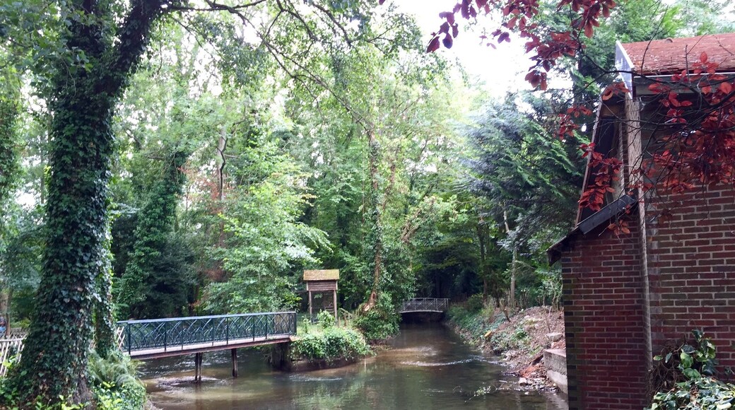 Vanne River in Sens, France.