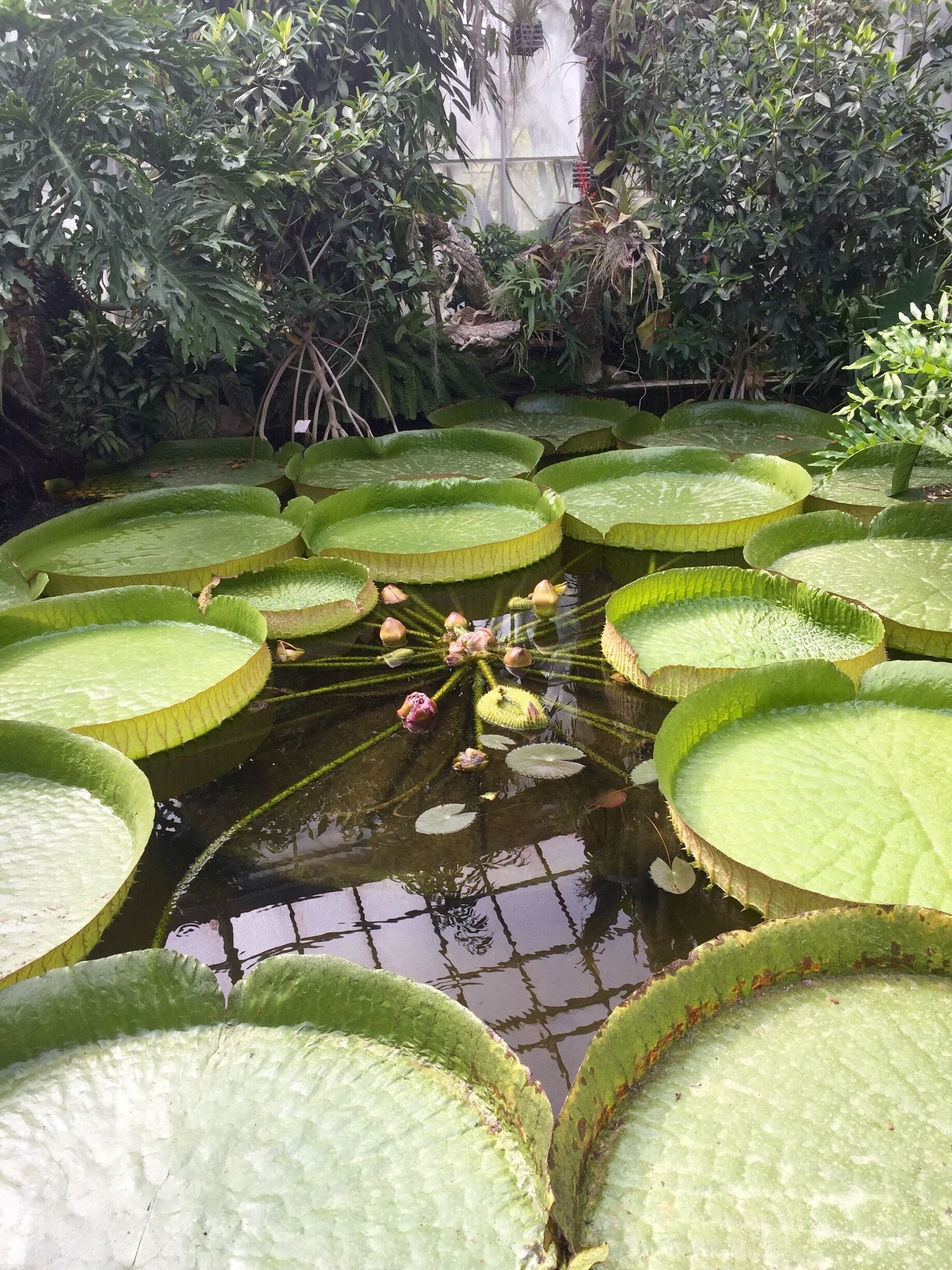 Amazing time visiting this park at the city of Sens-sur-Yonne, France. 