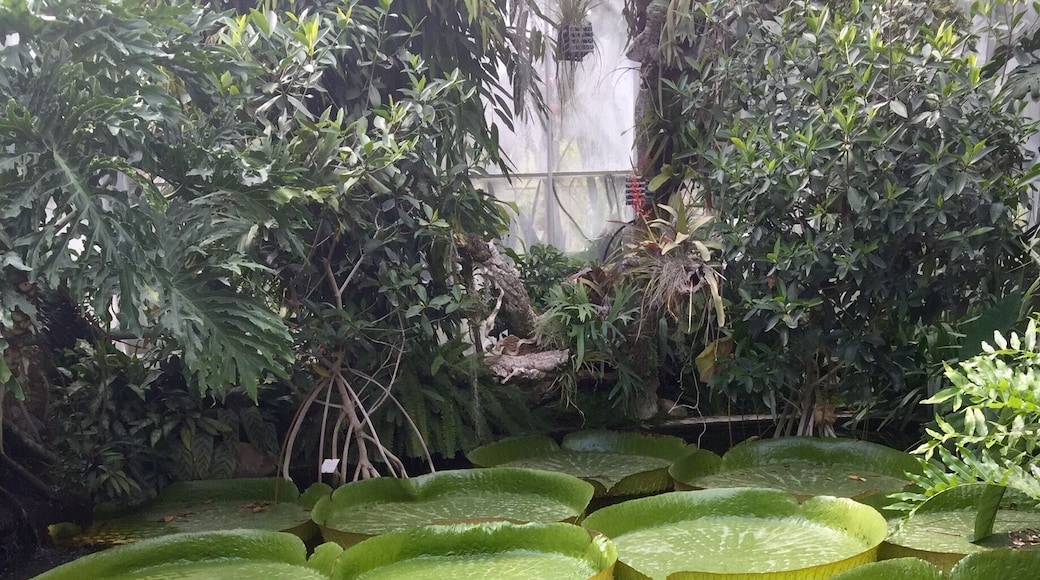 Amazing time visiting this park at the city of Sens-sur-Yonne, France.