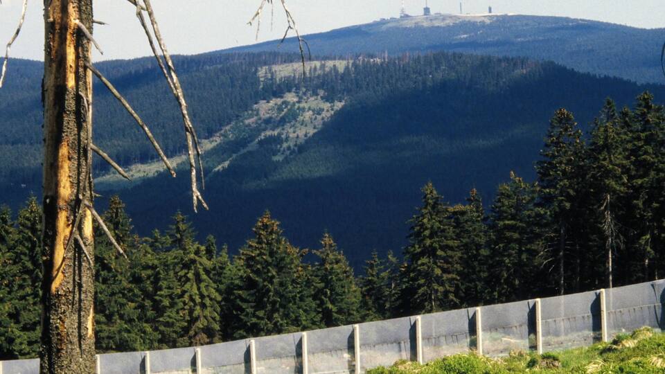 A forested mountain landscape with a burnt tree trunk in the foreground and a concrete barrier.