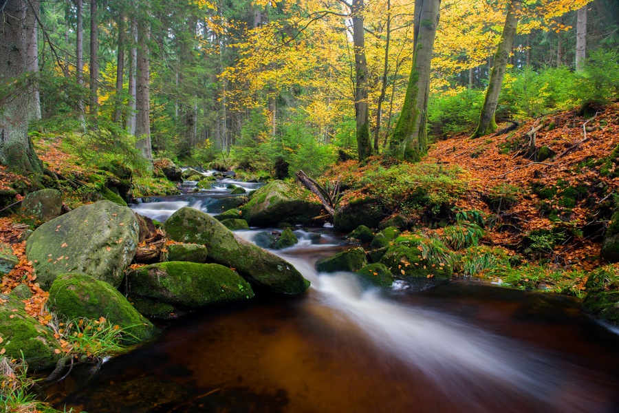 Autumn colors waterfall in Germany Braunlage, Long Exposure; Shutterstock ID 735355852; purchase_order: SP-1332 HA Batch 2 August 2018; Order: ; client: HomeAway; other: To be paid with HA budget