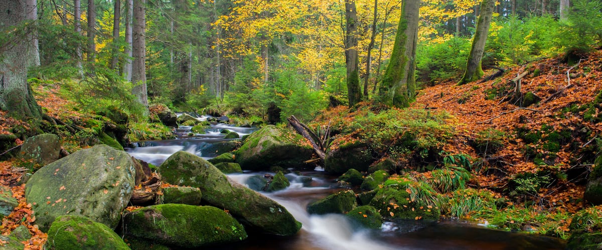 Autumn colors waterfall in Germany Braunlage, Long Exposure; Shutterstock ID 735355852; purchase_order: SP-1332 HA Batch 2 August 2018; Order: ; client: HomeAway; other: To be paid with HA budget