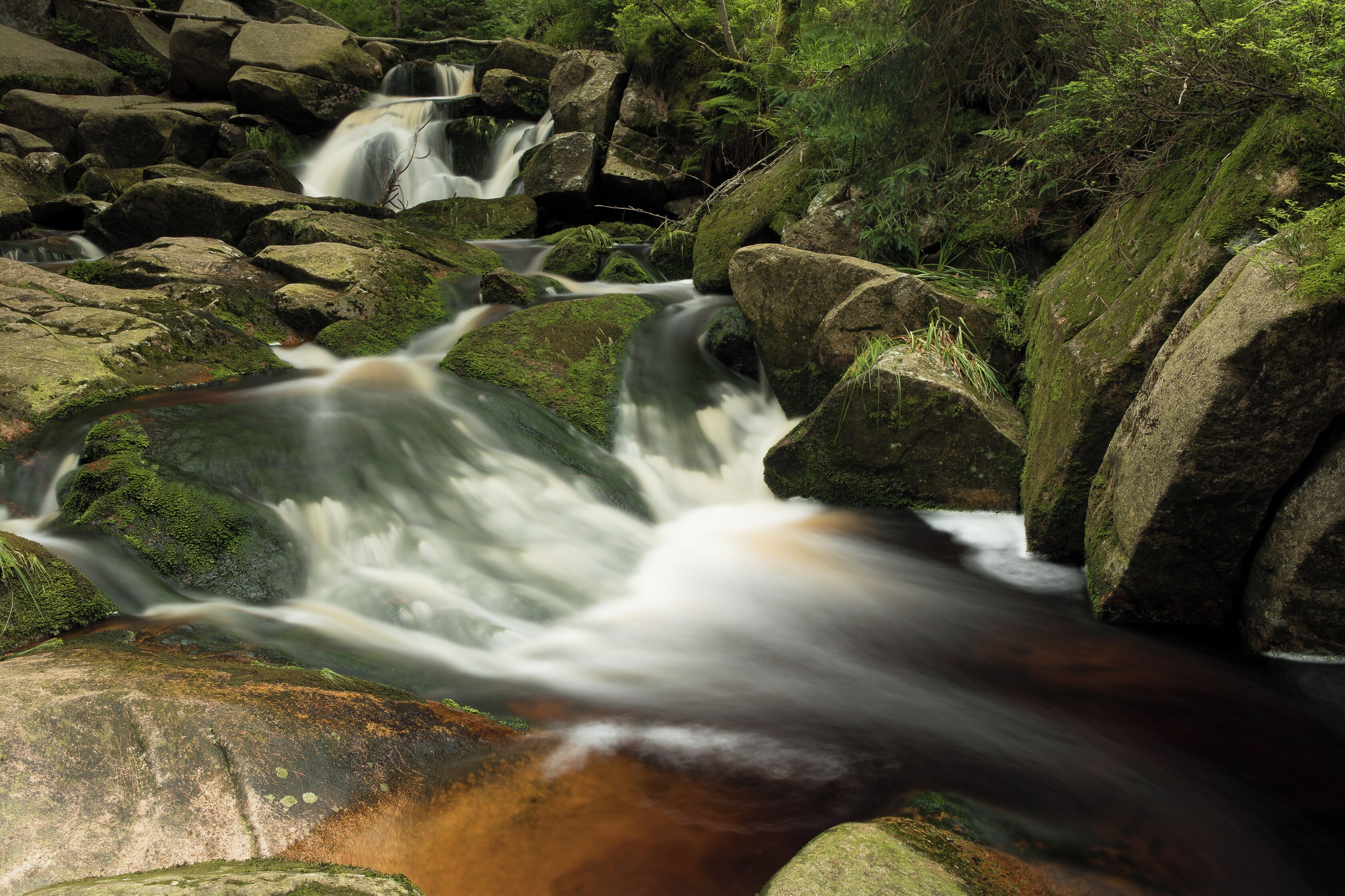 A waterfall cascading over moss-covered rocks in a forested area.