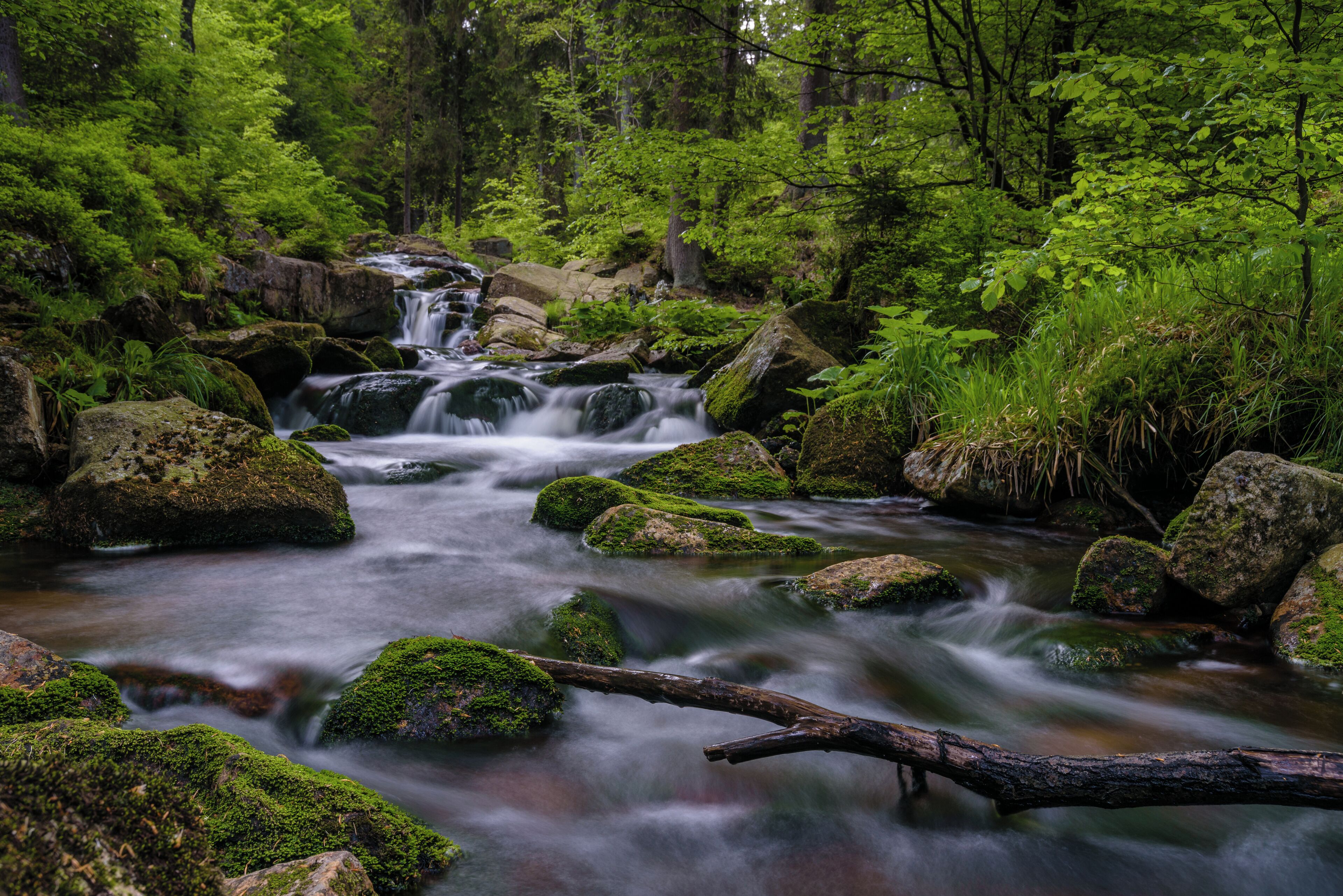 Unterer Bodefall bei Braunlage (Harz)