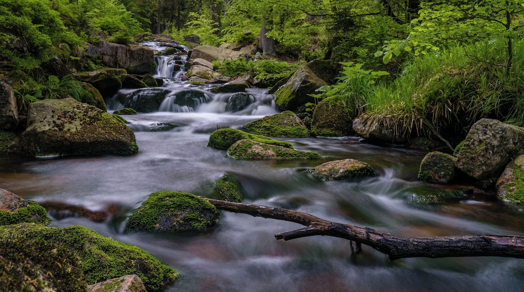 Unterer Bodefall bei Braunlage (Harz)