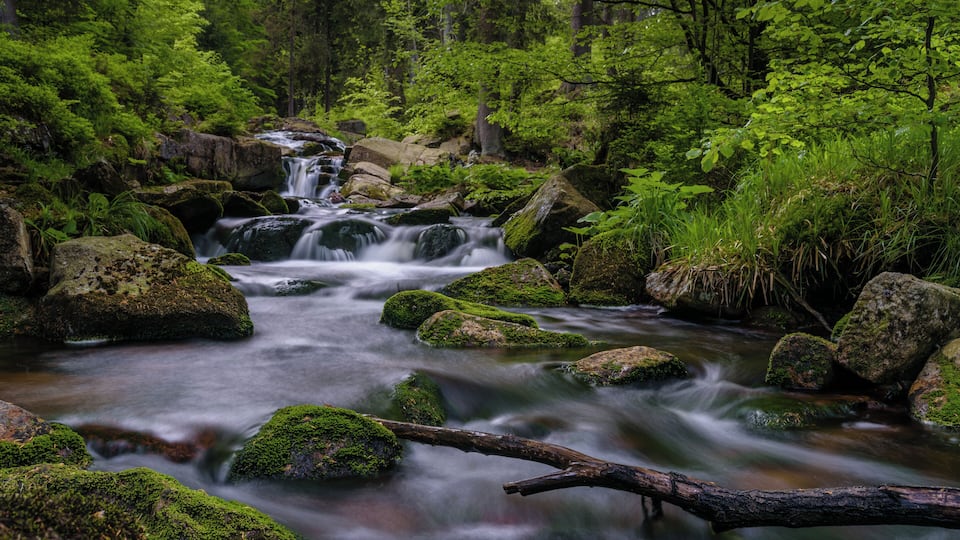 A forest stream with moss-covered rocks and a waterfall.