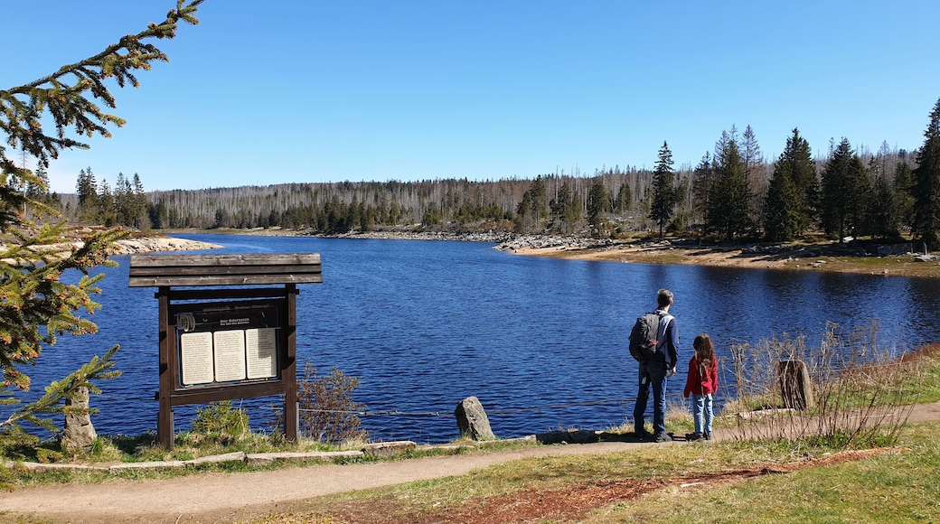 A lake with a wooden information board, a clear sky, and a forest in the background.