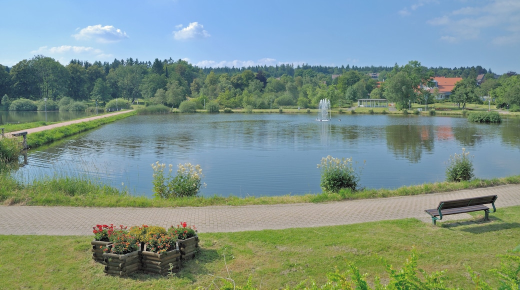 der Kranichsee am Kurpark im Urlaubsort Hahnenklee-Bockswiese bei Goslar,Oberharz,Deutschland