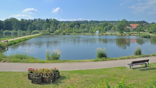 Braunlage